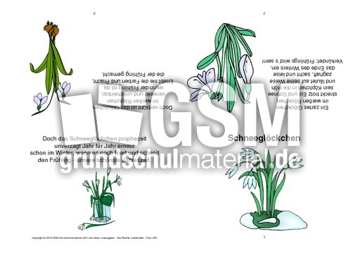 Faltbuch-Schneeglöckchen.pdf